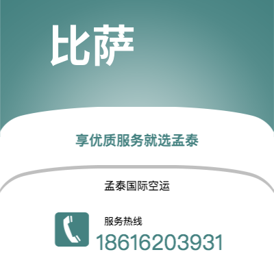 上海市到比萨海运价格查询|上海市至意大利比萨国际海运整柜拼箱订舱2