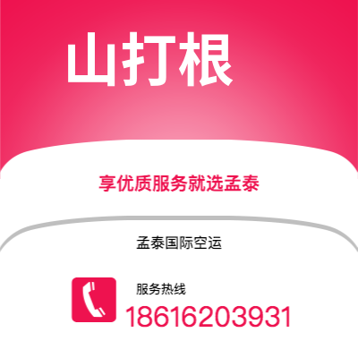 个旧市到山打根空运公司|个旧市至马来西亚山打根航空运输2