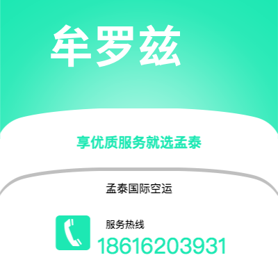 上海市到牟罗兹空运公司|上海市至法国牟罗兹航空运输2