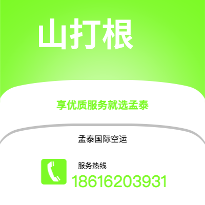 个旧市到山打根空运公司|个旧市至马来西亚山打根航空运输2