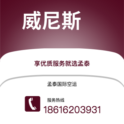 上海市到威尼斯海运价格查询|上海市至意大利威尼斯国际海运整柜拼箱订舱2