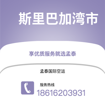 乐山市到斯里巴加湾市海运价格查询|乐山市至文莱斯里巴加湾市国际海运整柜拼箱订舱2