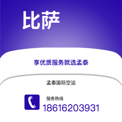 阿勒泰市到比萨海运价格查询|阿勒泰市至意大利比萨国际海运整柜拼箱订舱2