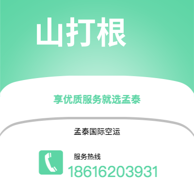霸州市到山打根海运价格查询|霸州市至马来西亚山打根国际海运整柜拼箱订舱2