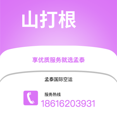 濮阳市到阿利坎特海运价格查询|濮阳市至西班牙阿利坎特国际海运整柜拼箱订舱2