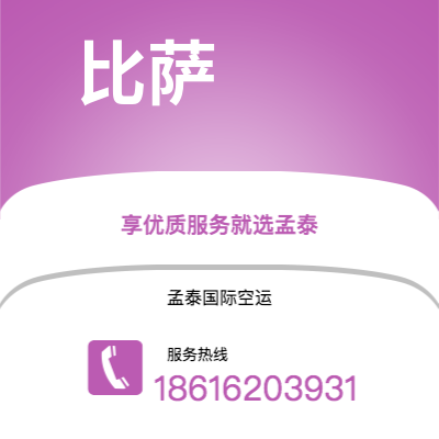 黄石市到比萨海运价格查询|黄石市至意大利比萨国际海运整柜拼箱订舱2