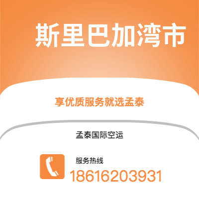 株洲市到斯里巴加湾市海运价格查询|株洲市至文莱斯里巴加湾市国际海运整柜拼箱订舱2