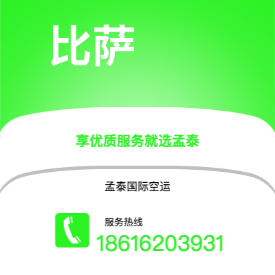 绥芬河市到比萨海运价格查询|绥芬河市至意大利比萨国际海运整柜拼箱订舱2