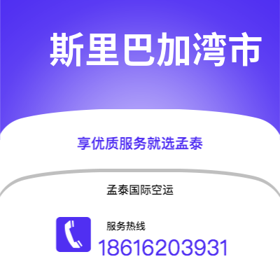 图们市到斯里巴加湾市海运价格查询|图们市至文莱斯里巴加湾市国际海运整柜拼箱订舱2