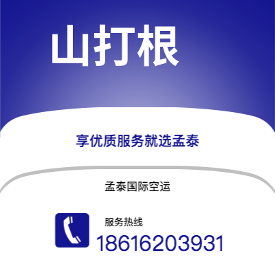 铜陵市到山打根空运公司|铜陵市至马来西亚山打根航空运输2