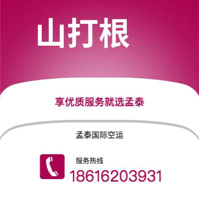 济宁市到山打根空运公司|济宁市至马来西亚山打根航空运输2