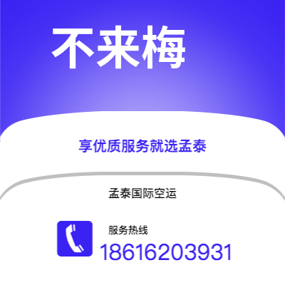 莱州市到里昂空运公司|莱州市至法国里昂航空运输2