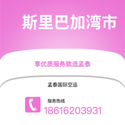 廉江市到斯里巴加湾市空运公司|廉江市至文莱斯里巴加湾市航空运输2
