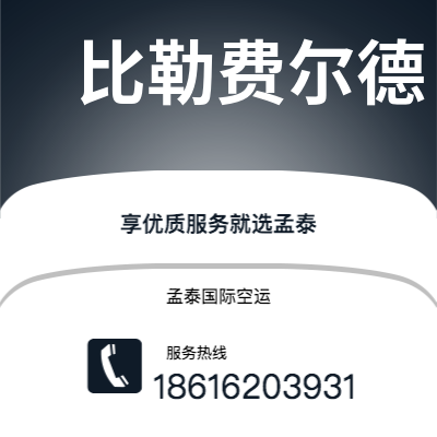 揭阳市到比勒费尔德空运公司|揭阳市至德国比勒费尔德航空运输2