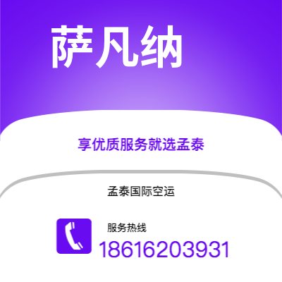 雷州市到萨凡纳空运公司|雷州市至美国萨凡纳航空运输2