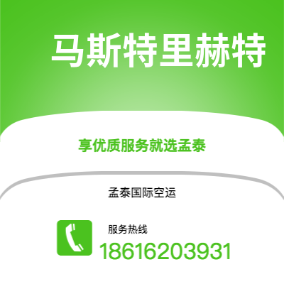 雷州市到马斯特里赫特空运公司|雷州市至荷兰马斯特里赫特航空运输2