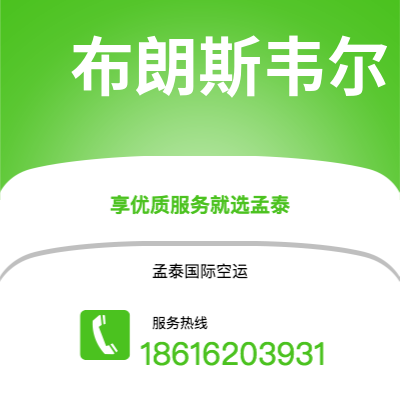 阿拉尔市到布朗斯韦尔空运公司|阿拉尔市至美国布朗斯韦尔航空运输2