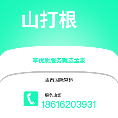 秦皇岛市到吉隆坡空运公司|秦皇岛市至马来西亚吉隆坡航空运输2