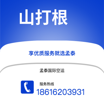 灵宝市到雅温得空运公司|灵宝市至喀麦隆雅温得航空运输2