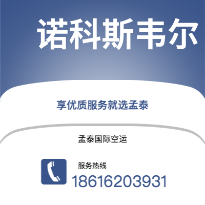 永州市到诺科斯韦尔空运公司|永州市至美国诺科斯韦尔航空运输2