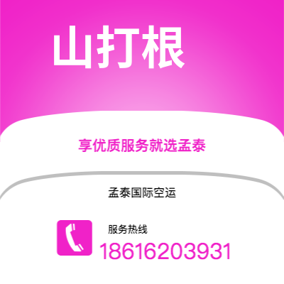 吉林市到山打根空运公司|吉林市至马来西亚山打根航空运输2