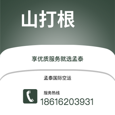 林芝市到比灵顿空运公司|林芝市至丹麦比灵顿航空运输2