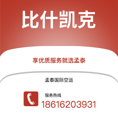 上海市到比什凯克快递价格查询|上海市至吉尔吉斯斯坦比什凯克国际快递公司2