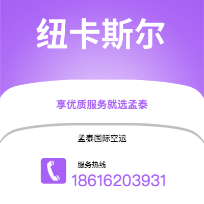 巢湖市到纽卡斯尔快递价格查询|巢湖市至英国纽卡斯尔国际快递公司2