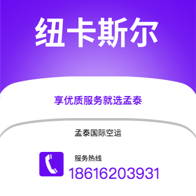 忻州市到纽卡斯尔快递价格查询|忻州市至英国纽卡斯尔国际快递公司2