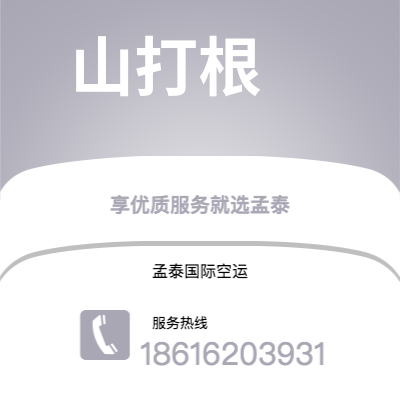 博乐市到布拉迪斯拉发快递价格查询|博乐市至斯洛伐克布拉迪斯拉发国际快递公司2