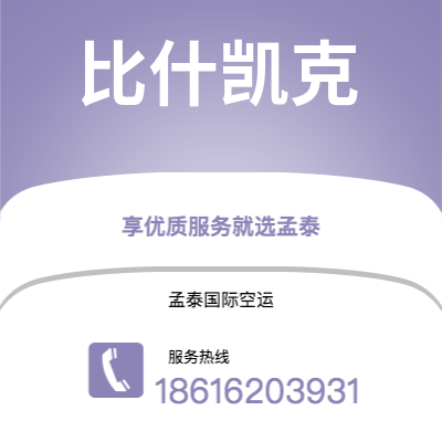 南阳市到比什凯克快递价格查询|南阳市至吉尔吉斯斯坦比什凯克国际快递公司2