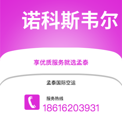 新乡市到诺科斯韦尔快递价格查询|新乡市至美国诺科斯韦尔国际快递公司2