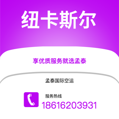 瑞安市到纽卡斯尔快递价格查询|瑞安市至英国纽卡斯尔国际快递公司2