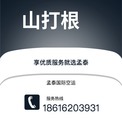 宁乡市到山打根快递价格查询|宁乡市至马来西亚山打根国际快递公司2