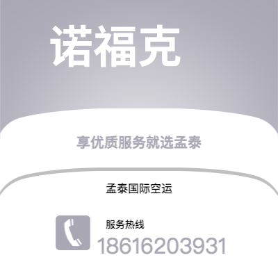 永州市到诺福克快递价格查询|永州市至美国诺福克国际快递公司2