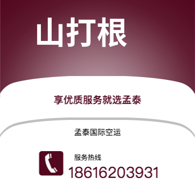 海城市到萨凡纳快递价格查询|海城市至美国萨凡纳国际快递公司2
