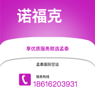 上海市到诺福克空运公司|上海市至美国诺福克航空运输2