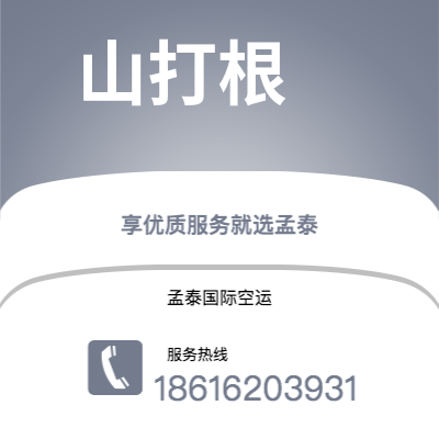 个旧市到山打根空运公司|个旧市至马来西亚山打根航空运输2