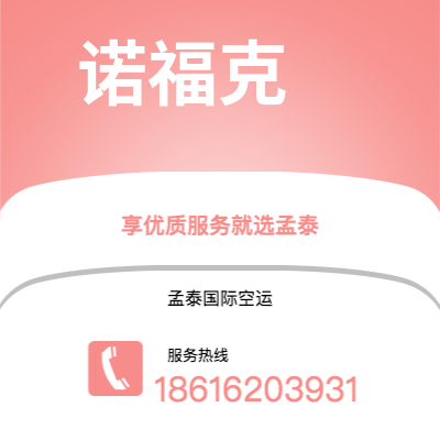 上海市到诺福克空运公司|上海市至美国诺福克航空运输2