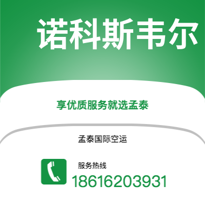 个旧市到诺科斯韦尔空运公司|个旧市至美国诺科斯韦尔航空运输2