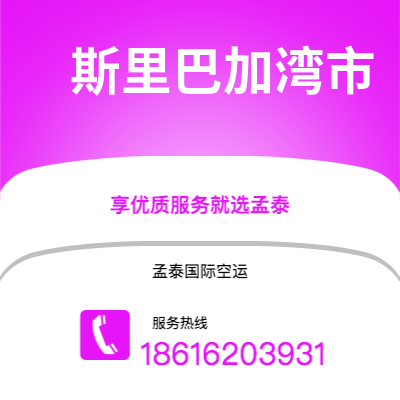 上海市到斯里巴加湾市海运价格查询|上海市至文莱斯里巴加湾市国际海运整柜拼箱订舱2
