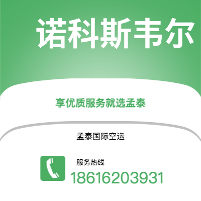 个旧市到诺科斯韦尔空运公司|个旧市至美国诺科斯韦尔航空运输2