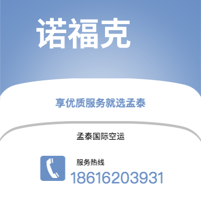 上海市到诺福克空运公司|上海市至美国诺福克航空运输2