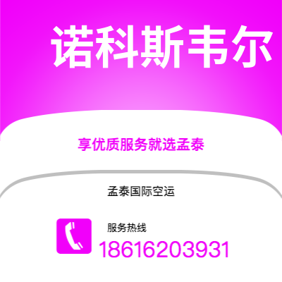 上海市到诺科斯韦尔空运公司|上海市至美国诺科斯韦尔航空运输2