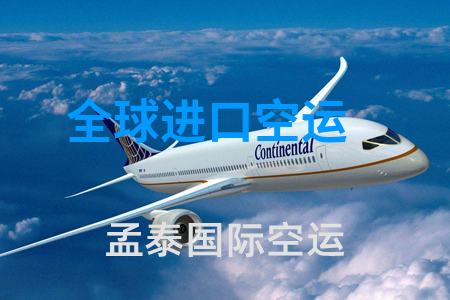 全球进口空运