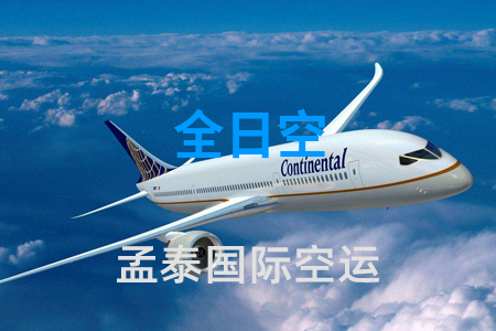 <strong>全日空</strong>