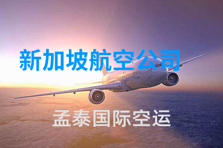 新加坡航空公司
